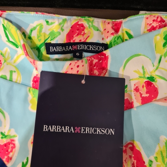 Barbara Erickson Watermelon Print Shorts SZ S - Picture 2 of 3